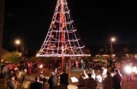 Encendamos junto el Árbol de Navidad 