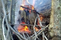 Incendio intencional en el bosque de interfase