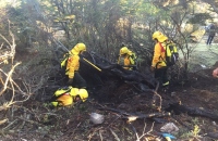 Por tercera vez incendio intencional en el bosque de interfase