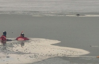 Rescate de canes en la Bahia Encerrada de Ushuaia