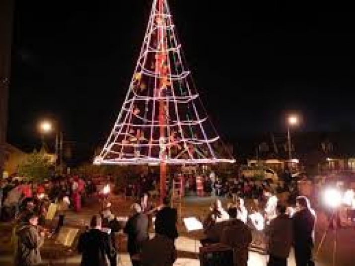 Encendamos junto el Árbol de Navidad 