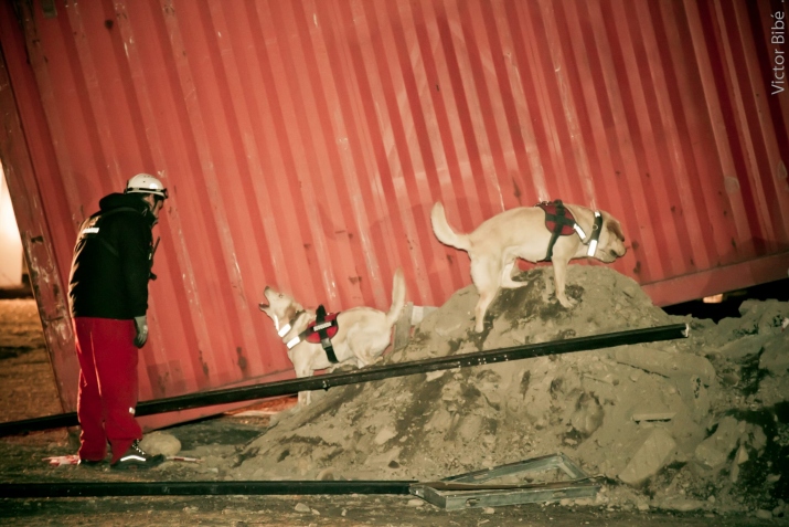 Fotos destacadas, simulacro de sismo ,rescate canino