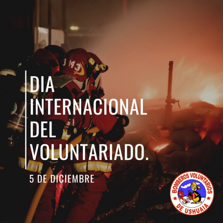 Día Internacional del Voluntariado 