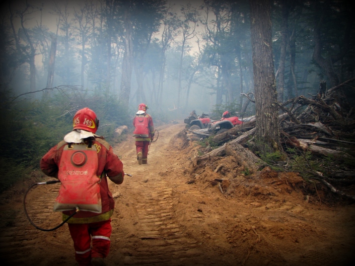 Incendio forestal año 2008