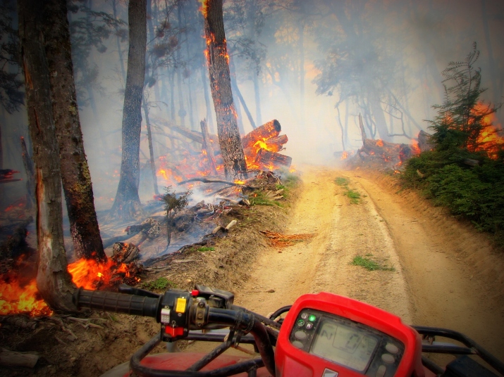 Incendio forestal año 2008