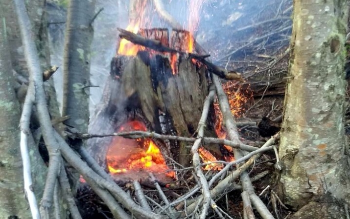 Incendio intencional en el bosque de interfase