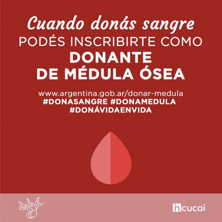 Inscribirse como donante voluntario de médula ósea