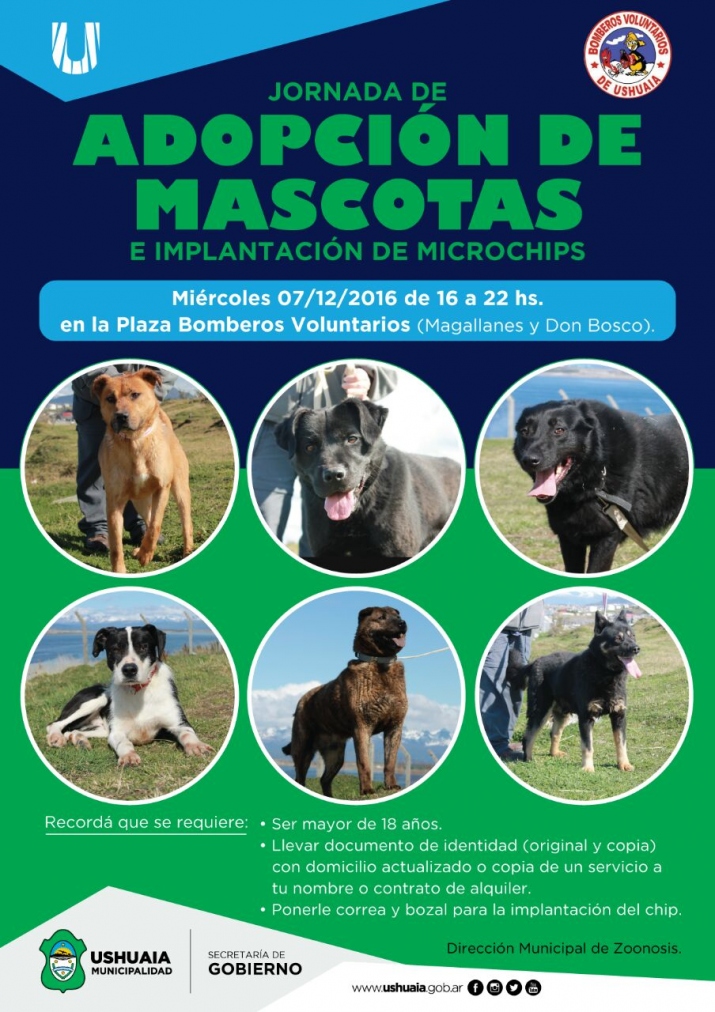 Jornada adopción  y chipeado de mascotas