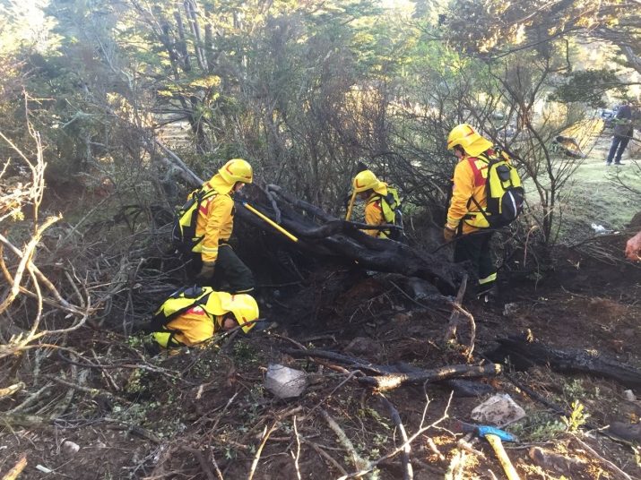 Por tercera vez incendio intencional en el bosque de interfase