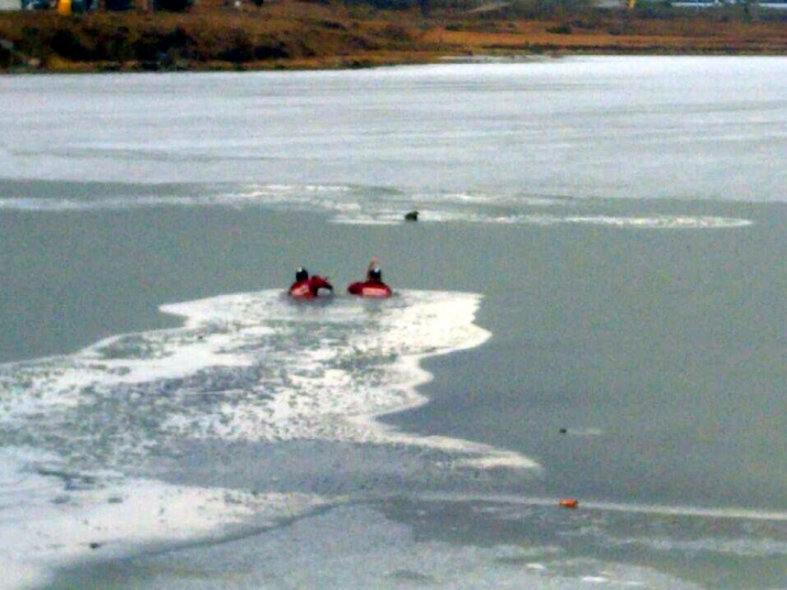 Rescate de Canes en aguas gélidas 